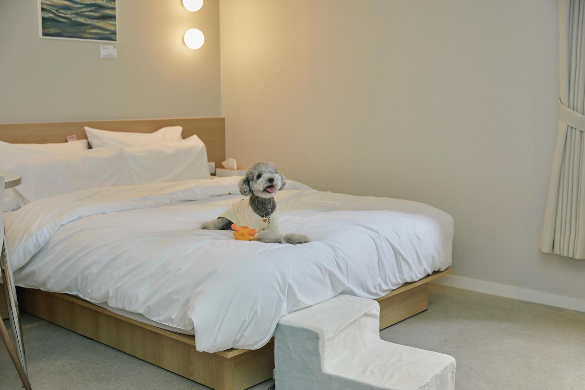 Aank Hotel Incheon Songdo 外观 照片