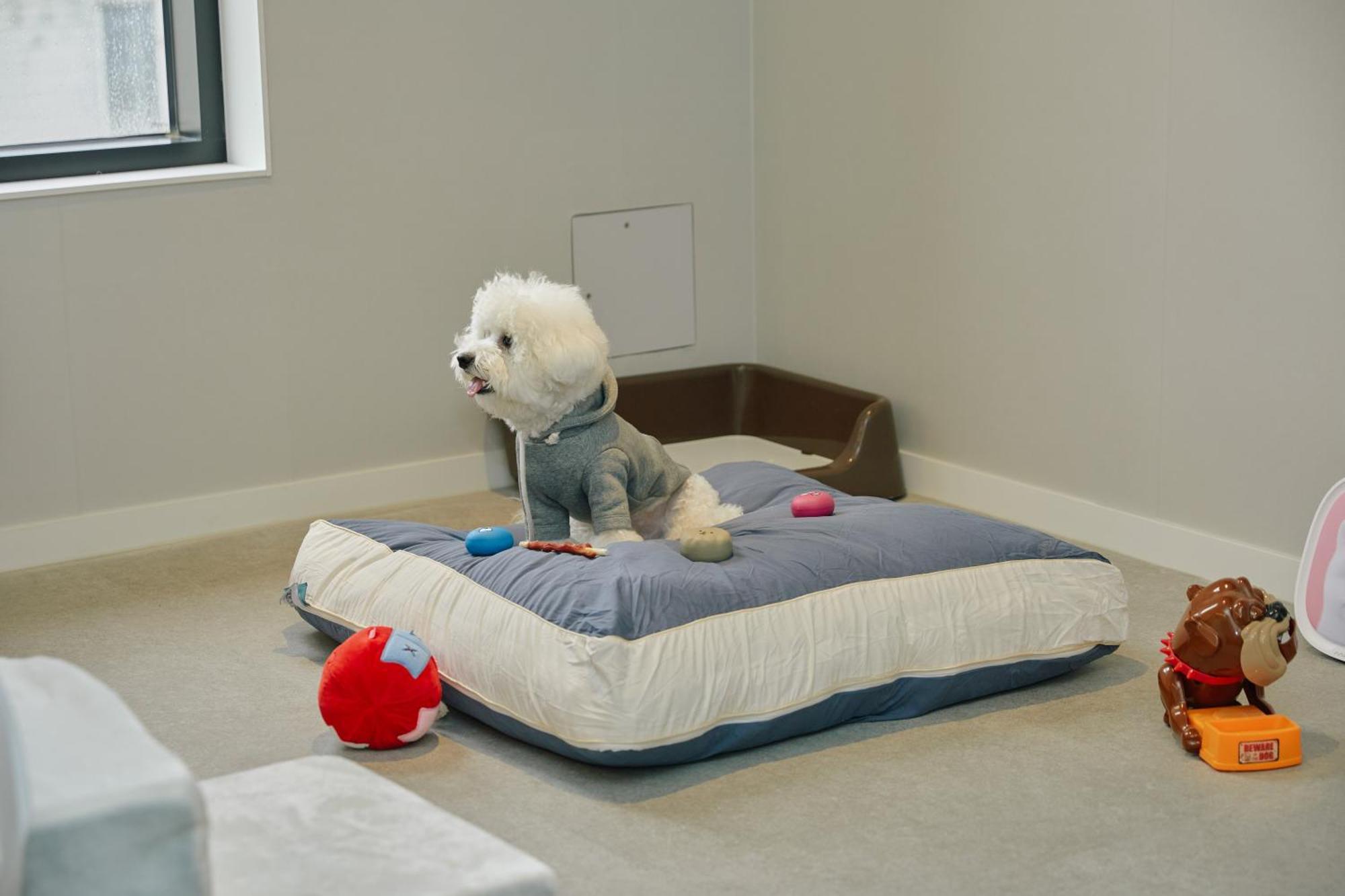 Aank Hotel Incheon Songdo 外观 照片